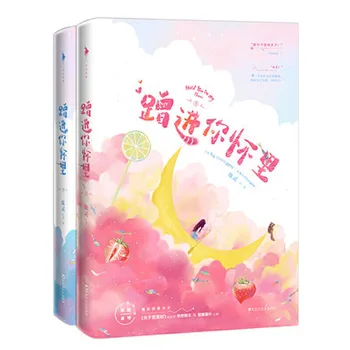 2 Knjigi/set Ceng Jin Ni Huai Li Z Lu Ling Mladi sodobno mesto, Romantični roman fiction knjige