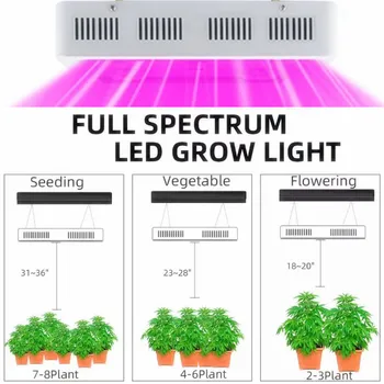 Qkwin 1000W Led grow light 100x10W pravi 165W Z visoko moč dvojna čip led 10W hydroponics razsvetljave celoten spekter