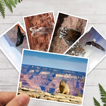 Amerika Grand Canyon National Park Potovanja Želijo Poslovne Razglednice, Voščilnice, Darilne Rojstni dan Vabilo, Razglednice in Nastavite 30pcs