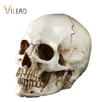 VILEAD Medicinski Model Človeškega Smolo Skull Glave Home Office Namizno Dekoracijo Lobanje Kip Obrt Darilo Živalske Lobanje Ornament