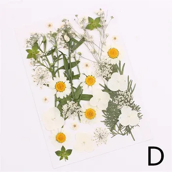 Naravni Posušeni Cvetovi kombinacija DIY Pritisnete Herbarij Cvet Dekorativni Obrti polnila nakit, izdelava Ročno materiala paket