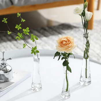 Nordijska Preprost, Pregleden Steklena Vaza Mini Cvetje Hydroponic Ureditev Majhnih Vaza Dnevna Soba Namizni Pribor Vaze