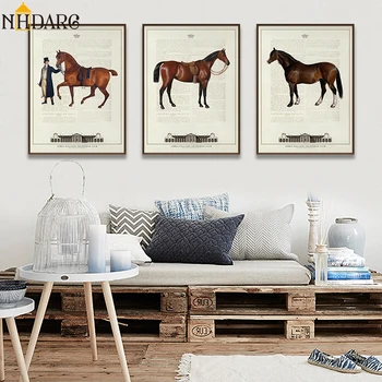 Vintage Evropske Konjeniški Klub Žrebec Lep Konj Plakatov in Fotografij Platno, Slikarstvo, Umetnost, Stenske Slike za Dnevni Sobi Doma Dekor