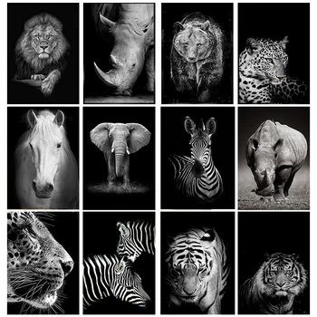 Živali, Žirafa, Zebra, Lev, Slon Konj Natisne & Plakat Črno in Belo Platno Umetnosti Stenske Dekorativne Slike za dnevno Sobo