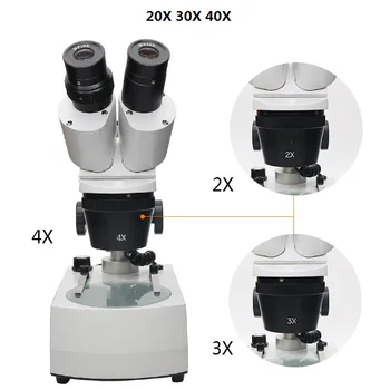 Stereo Mikroskop 20X 30X 40X kateri je daljnogled Industrijske Mikroskop s Vrhu/Dnu Vir Svetlobe Okular WF10X za PCB Popravilo